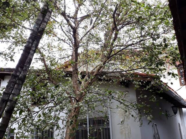 #119 - Casa para Locação em Taboão da Serra - SP - 3